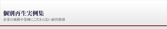 個別再生実例集