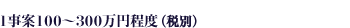 1事案100～300万円程度