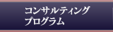 コンサルティングプログラム
